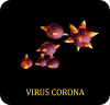 virus_corona.png